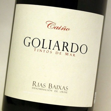 Goliardo Caiño 2019