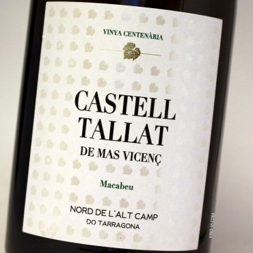 Castell Tallat de Mas Vicenç 2021