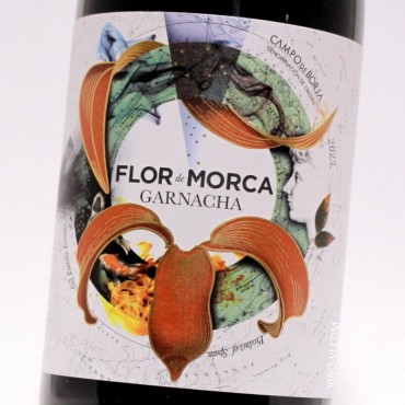 Flor de Morca 2023