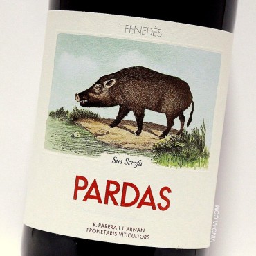 Pardas Sus Scrofa 2024