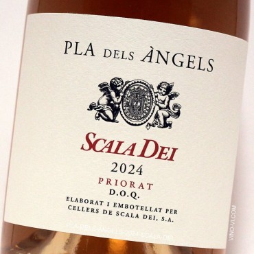 Pla dels Àngels de Scala Dei 2024