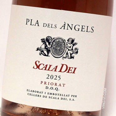 Pla dels Àngels de Scala Dei 2025