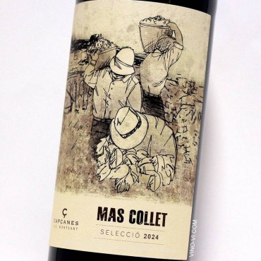 Mas Collet 2024
